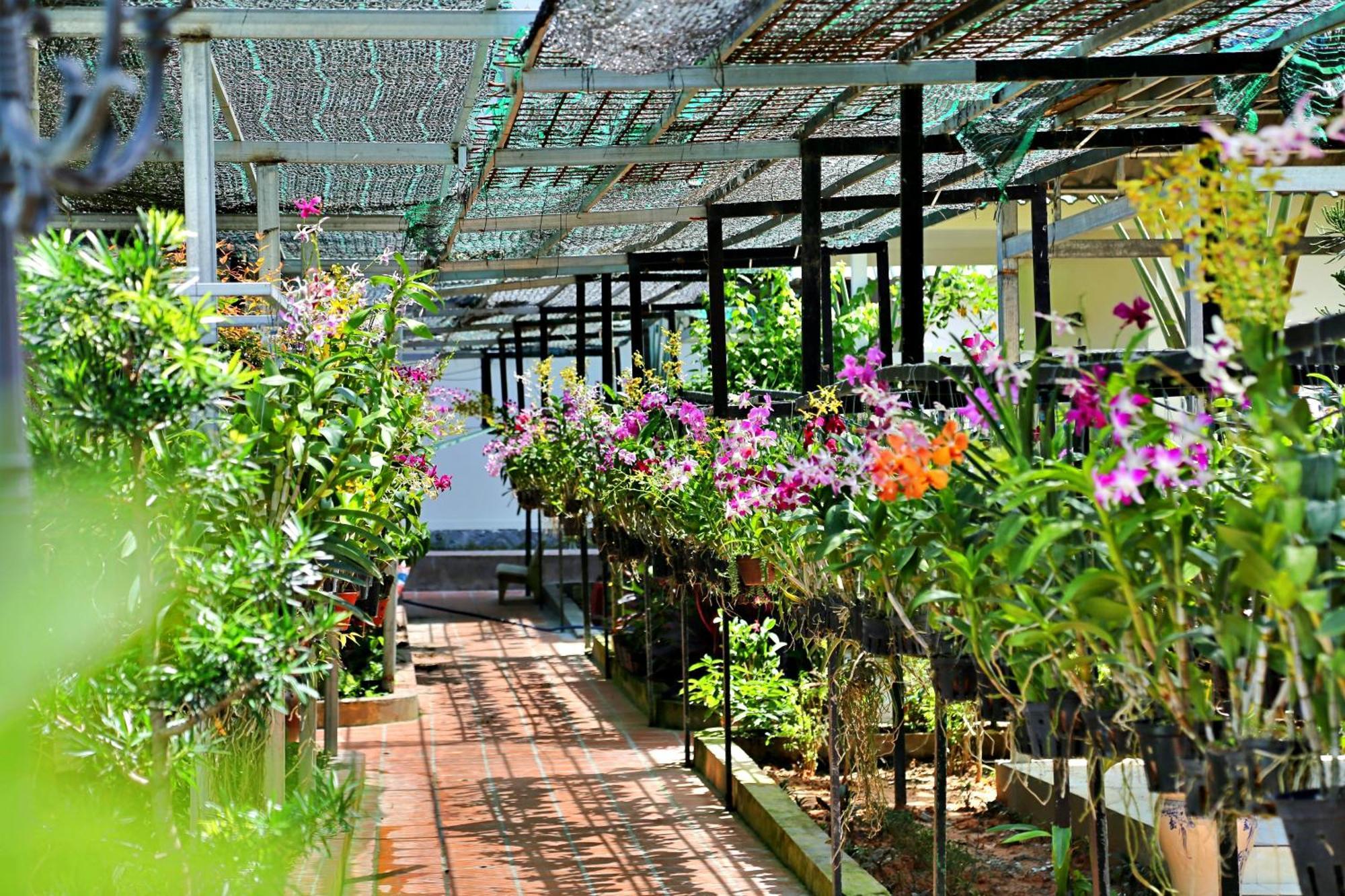 881 Lam Ha Pool Resort Phu Quoc Eksteriør bilde
